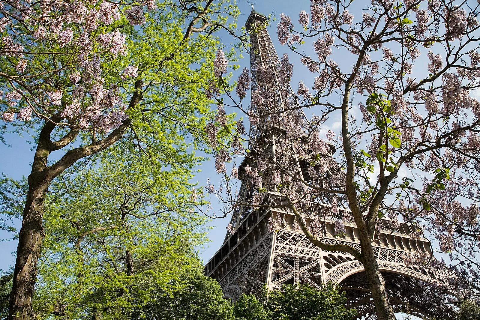 Parigi