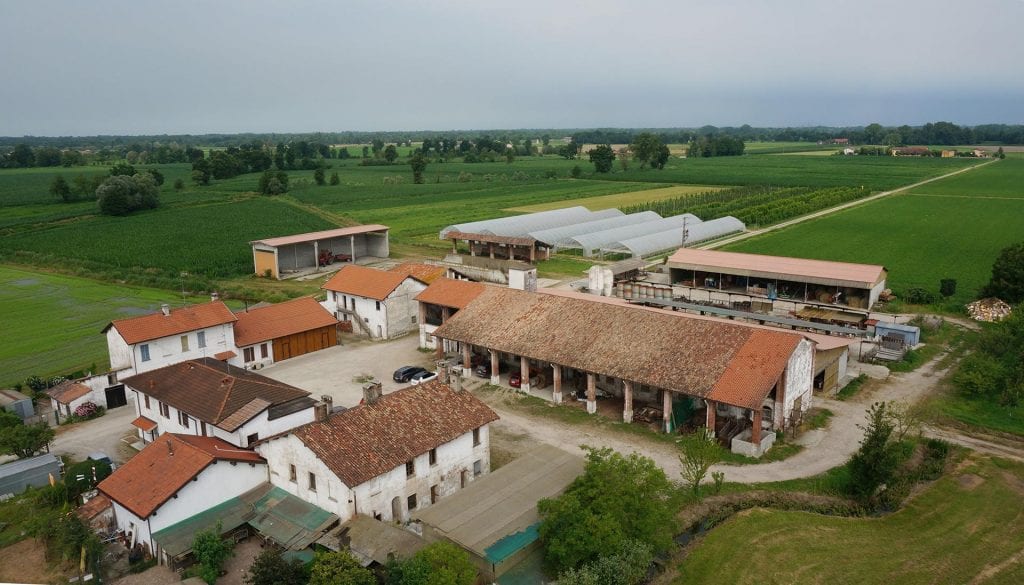 Cascina San Donato - Azienda agricola - Vendita diretta frutta e verdura - Fattoria Didattica