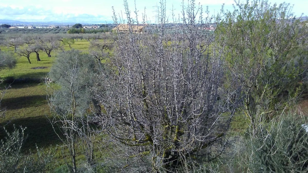 Iblea Hotel