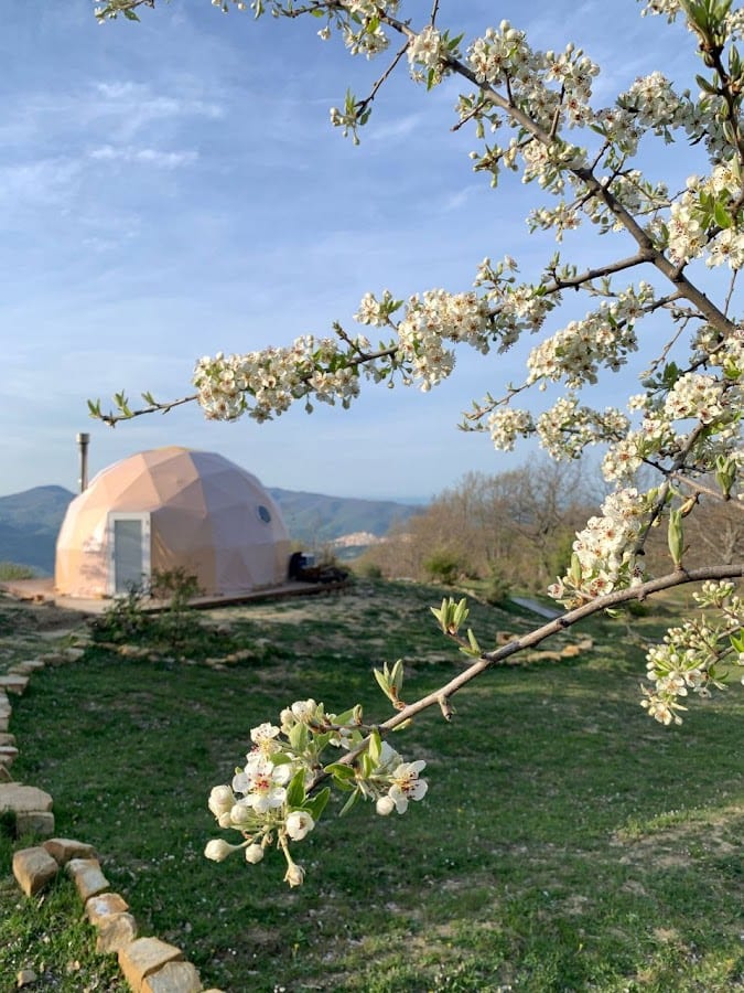 Aura Glamping