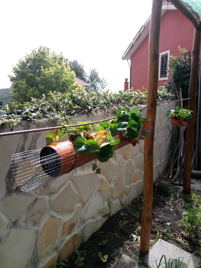 B&B L'Agrifoglio dell'Etna