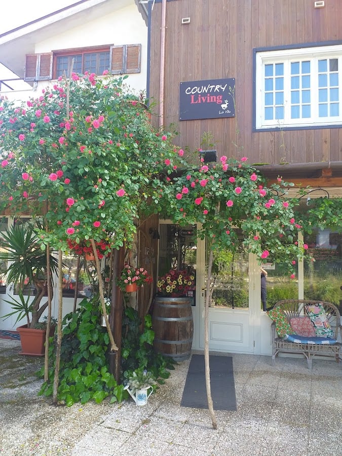 B&B hotel La Villa