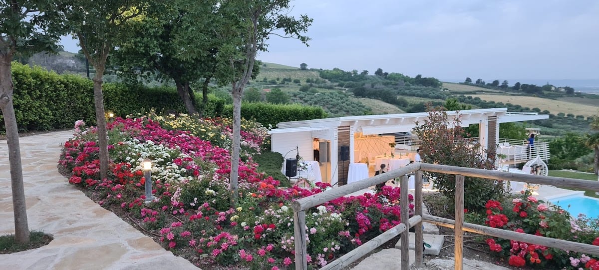 Colle degli Ulivi
