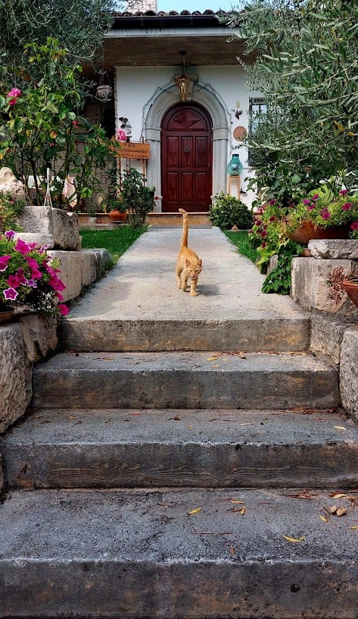 B&B Villa Maria Paola Isernia