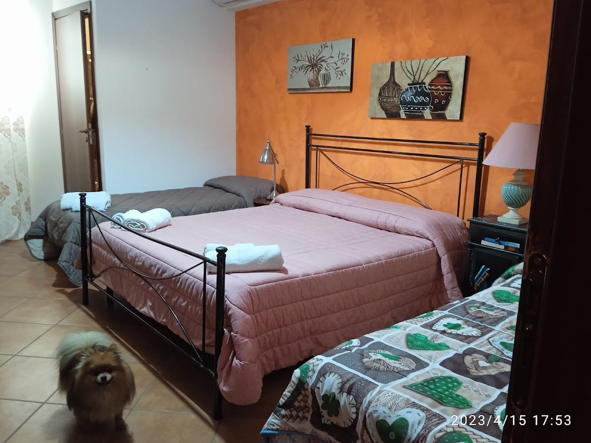 Bed and breakfast Agrumi in terrazza