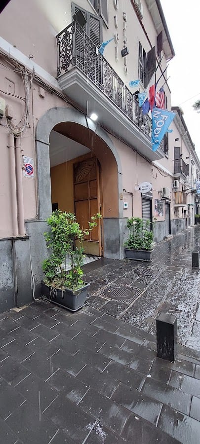 Barbato