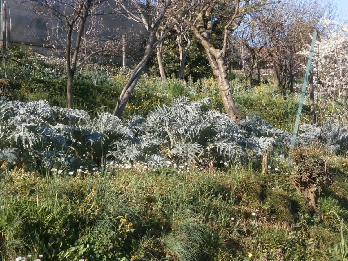 Agriturismo I Gelsi