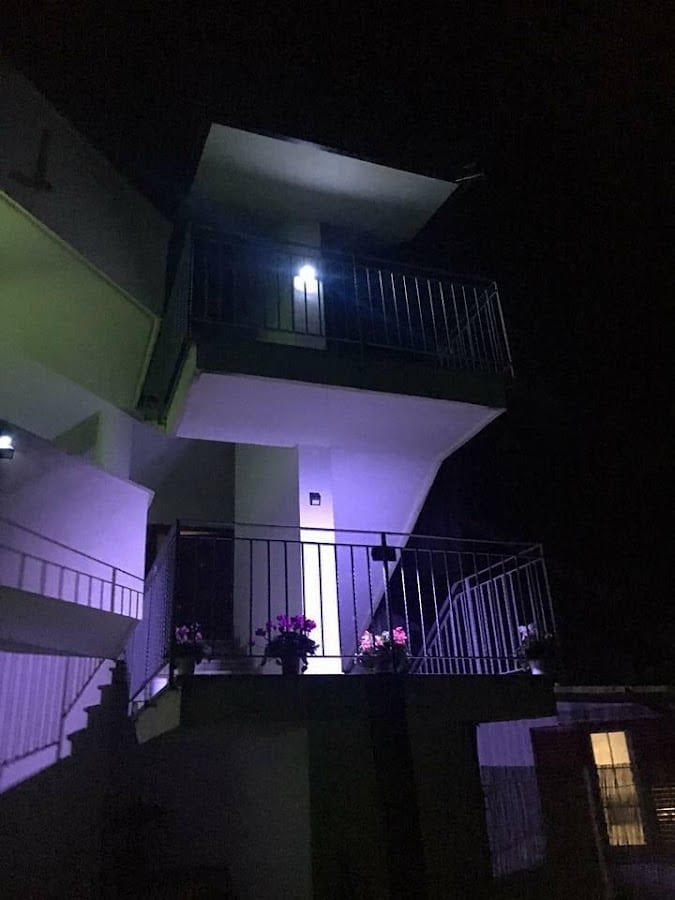 Jenny's House