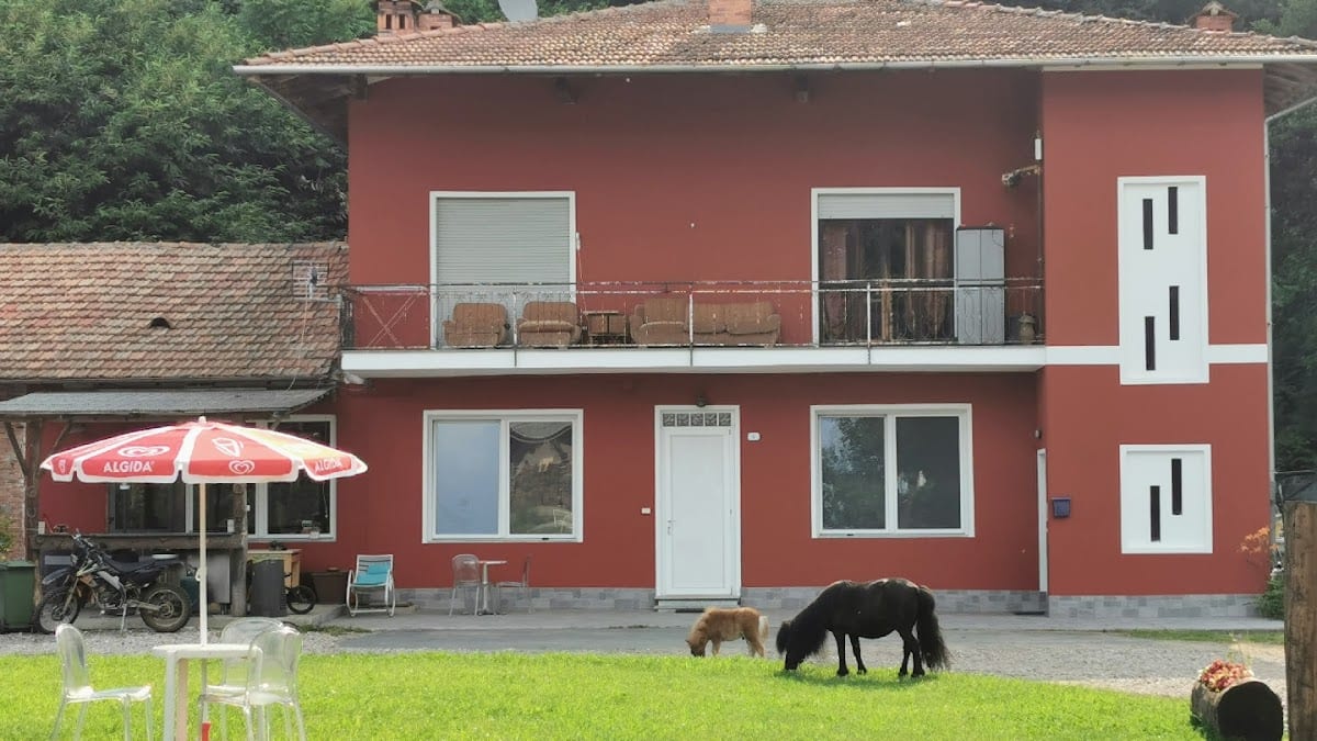 THE HORSE - GUEST HOUSE