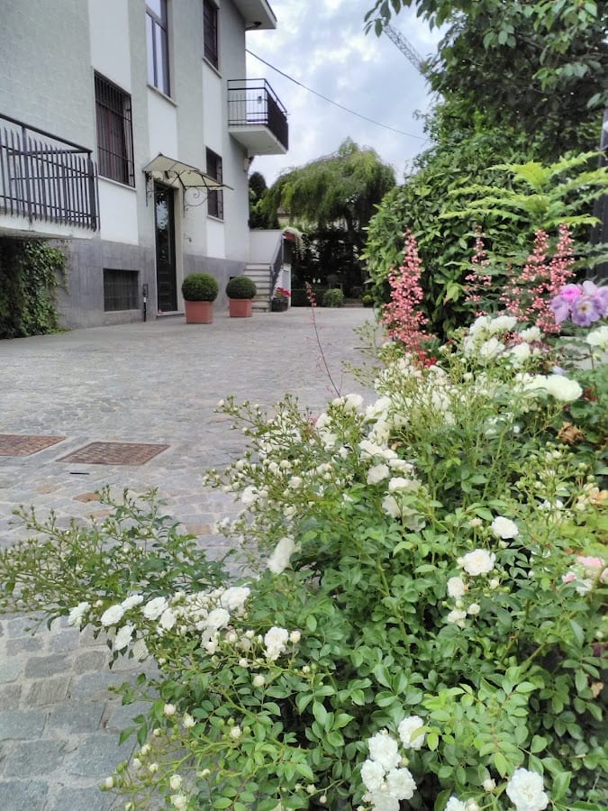 b&b D'or dublè