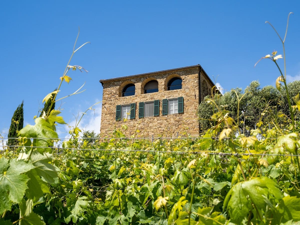 Terre Bianche