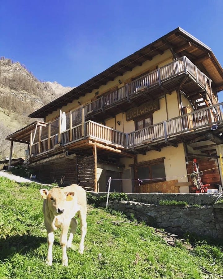 AGRITURISMO EDELWEISS PRALI