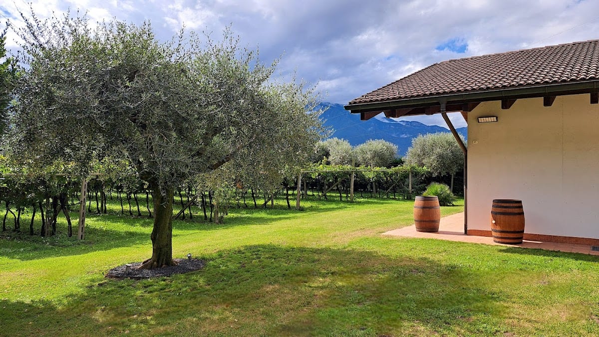 Azienda vitivinicola Alessandro Secchi