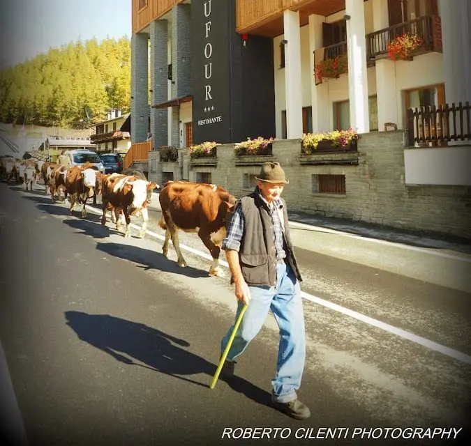Hotel Dufour