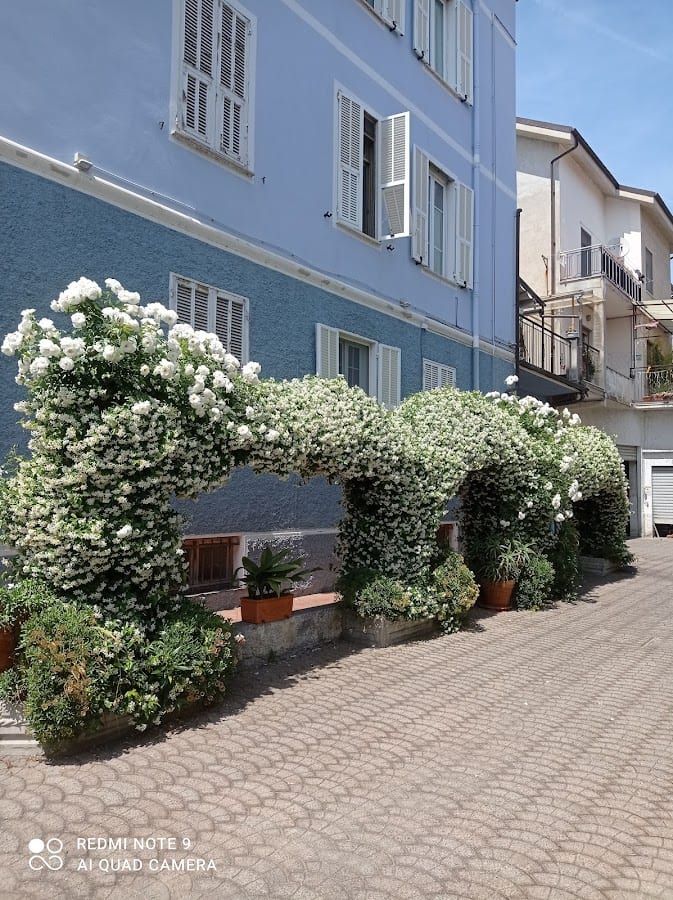 B&B Elisir