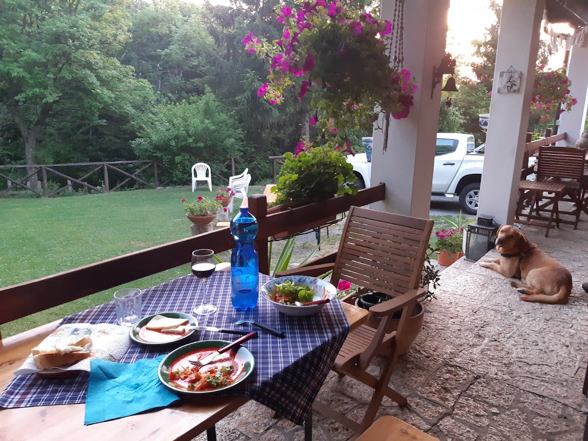 B&B Forest View