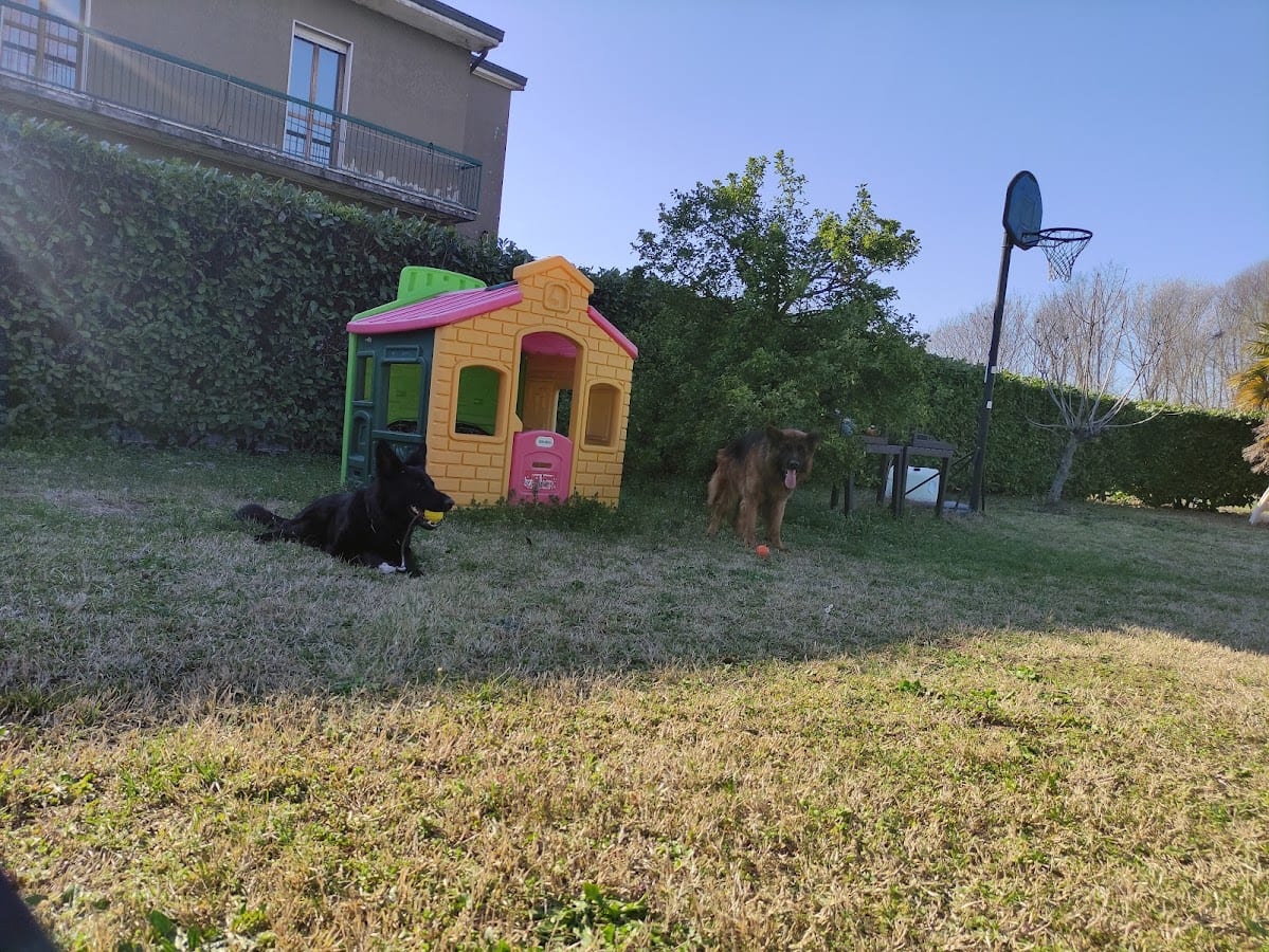 Il giardino di Pietro