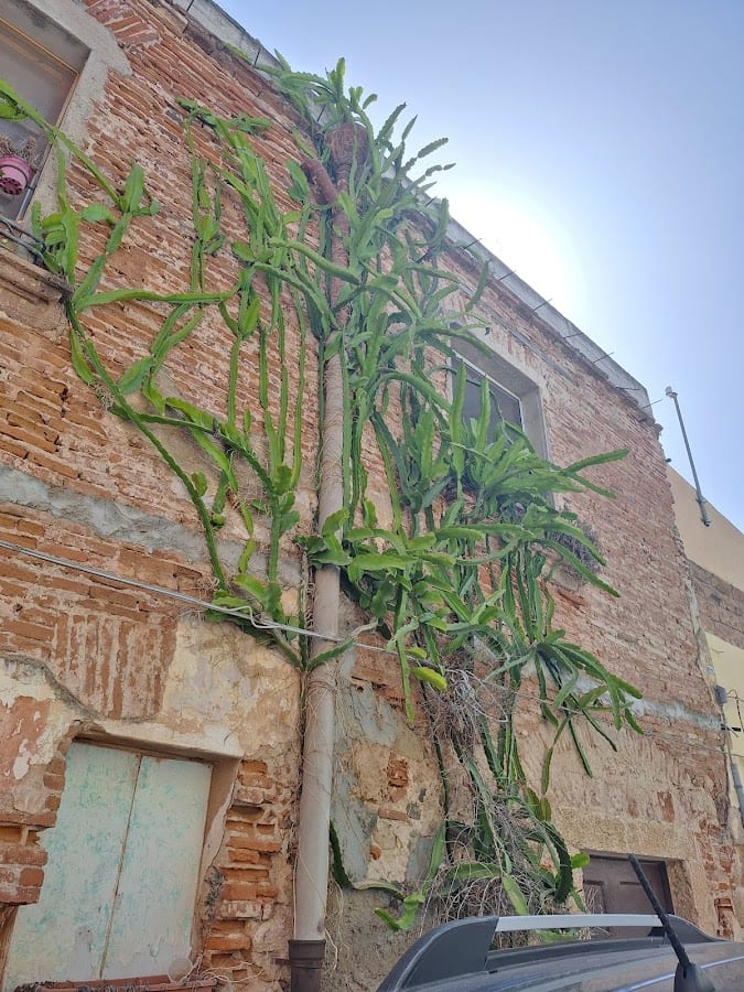 Dimora del Chiostro