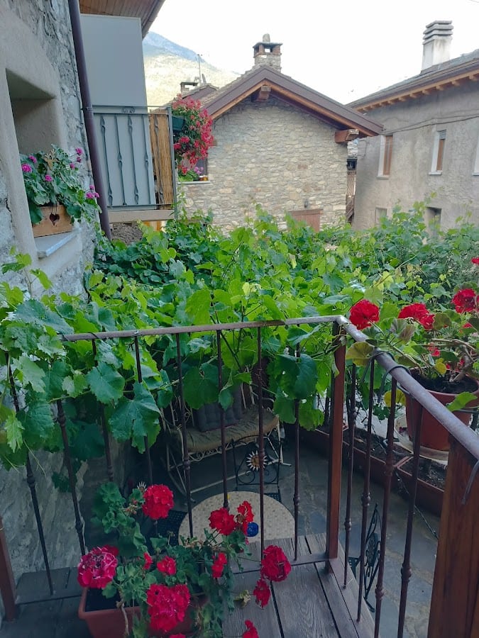 Chez Magan