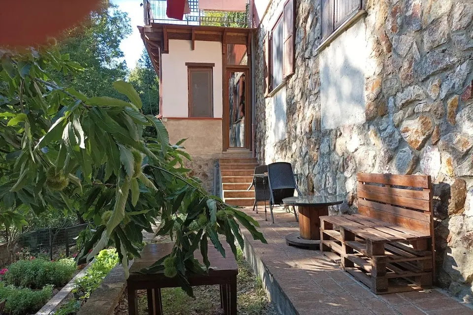 Casa dei Faggi, Tolfa