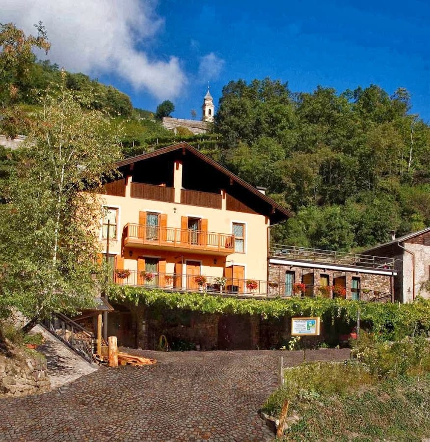 Agritur All'OLIVO