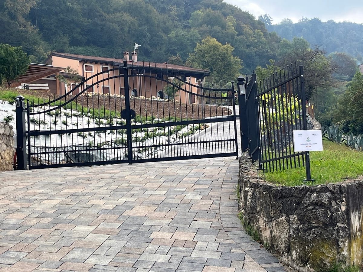 L'Abbraccio della Vigna - Alloggio Agrituristico - Agriturismo