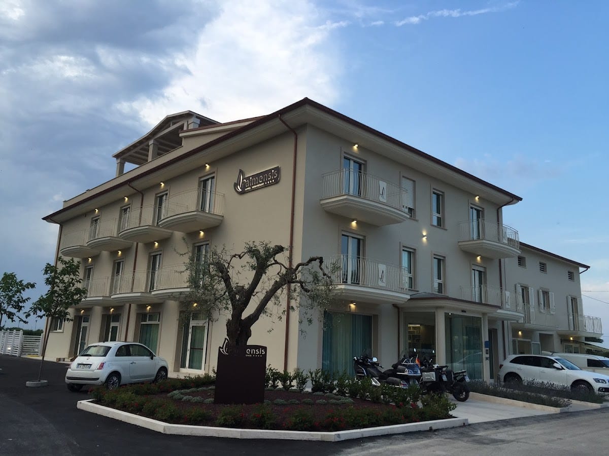 Hotel Palmensis