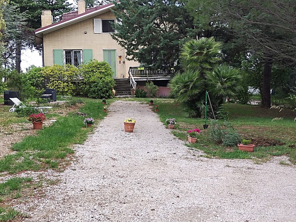 Il nido di Alice