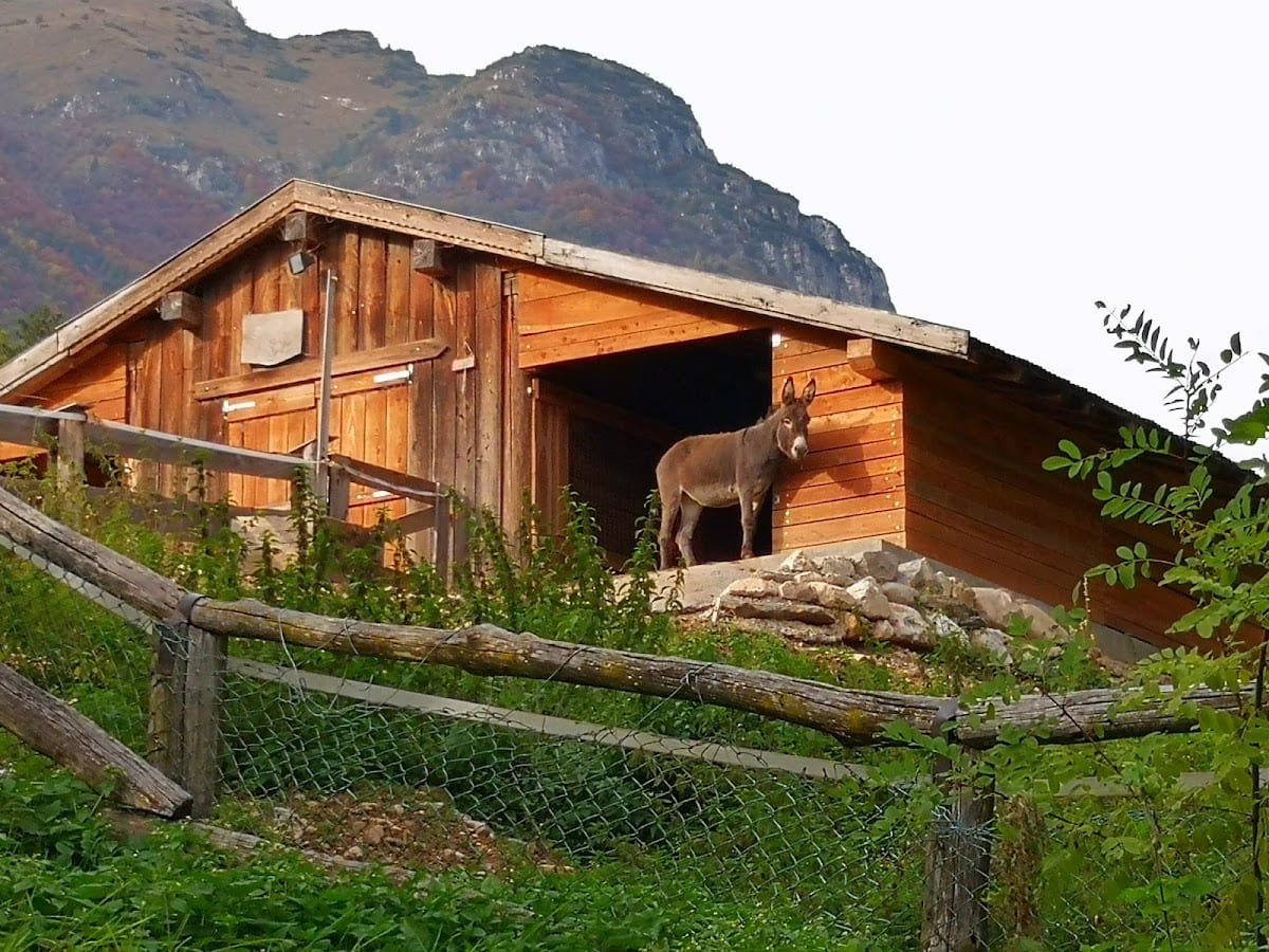 Agritur La Sabbionara