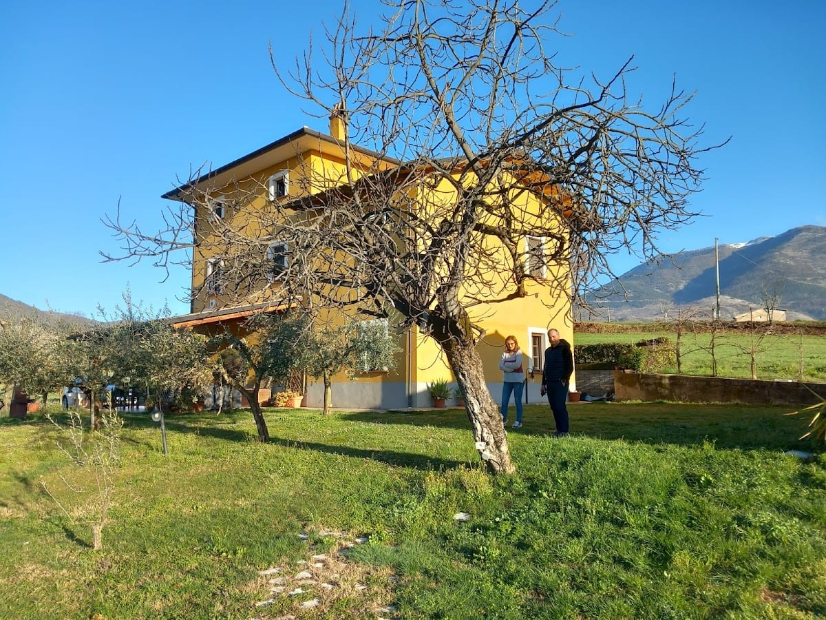 Viale dei Ciliegi