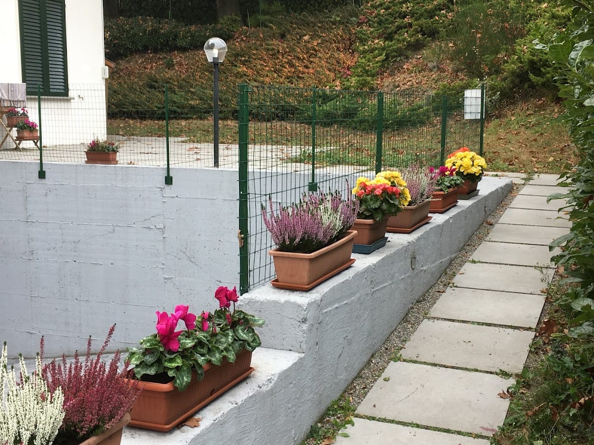 Elleboro B&B