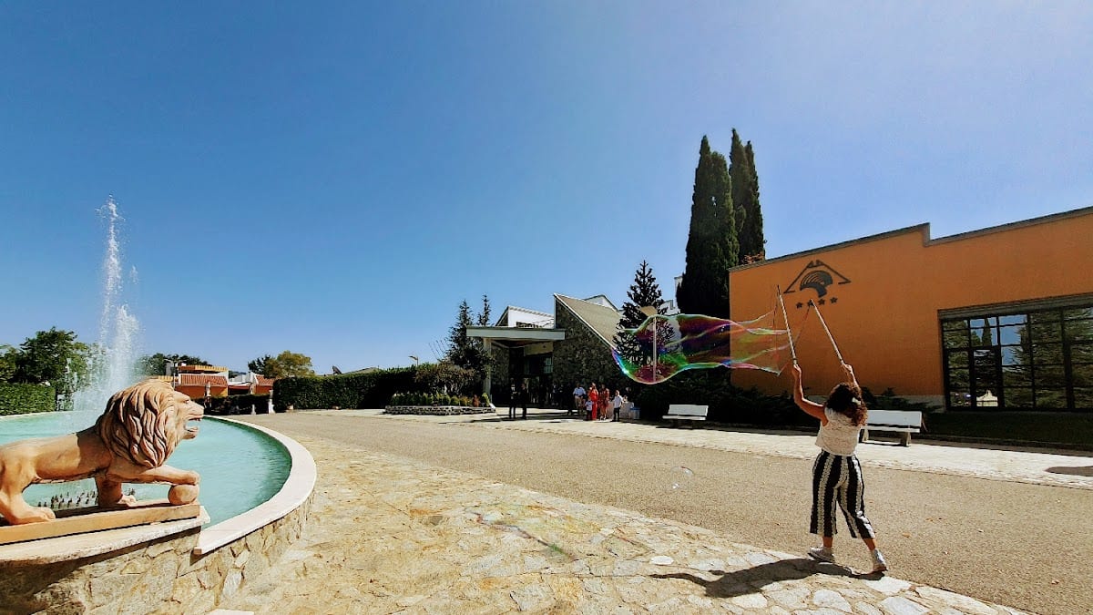 Palahotel Vallenoce