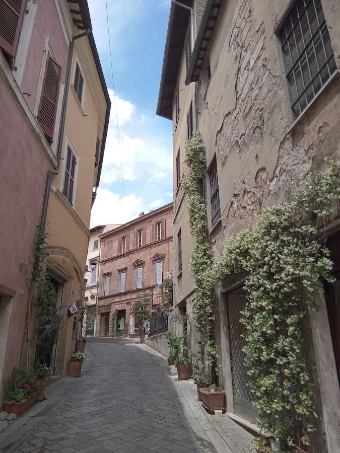 B&B44