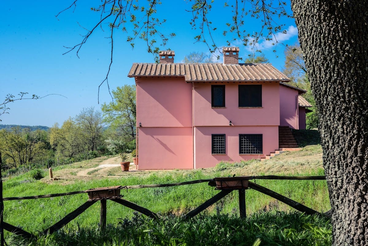 L' Albero degli Struzzi
