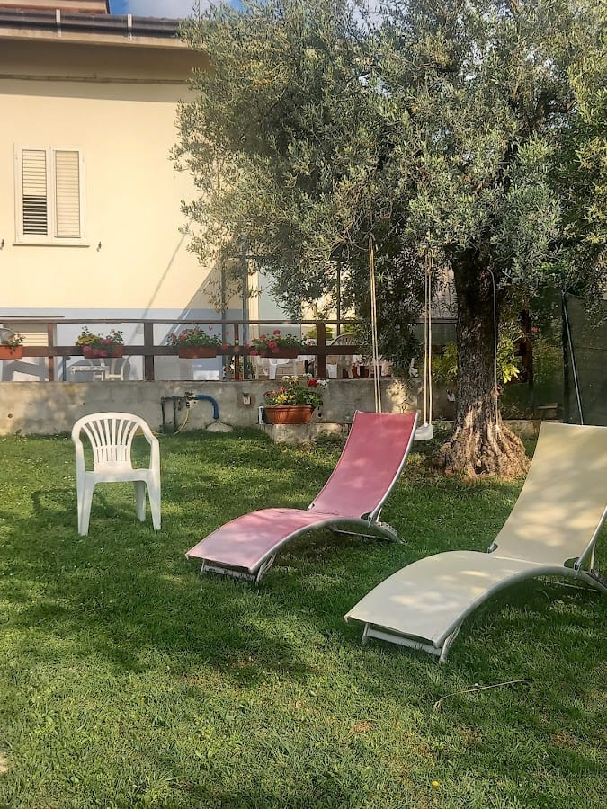 Il Gruccione