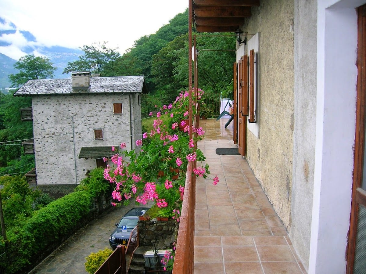 B&B Al Carotin
