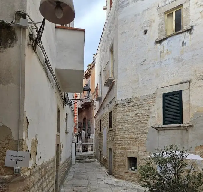 Il cortile degli ulivi