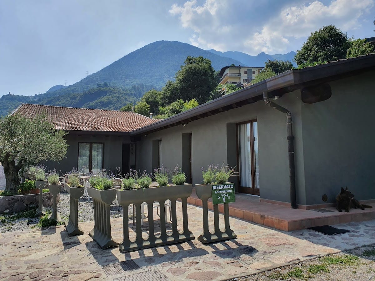 Agriturismo Il Moro