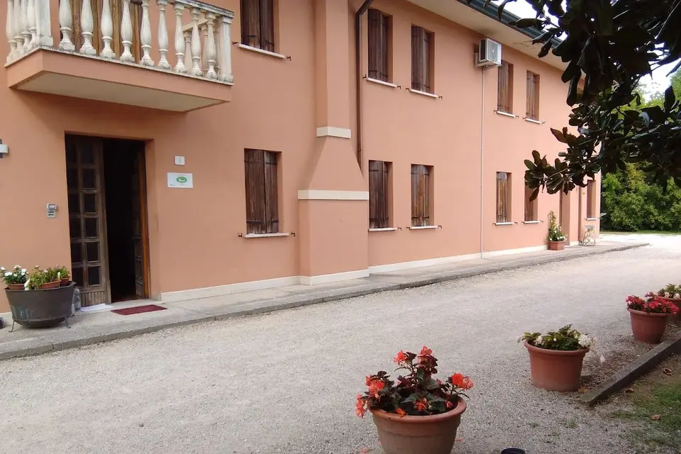 Quo Vadis Qui Vieni
