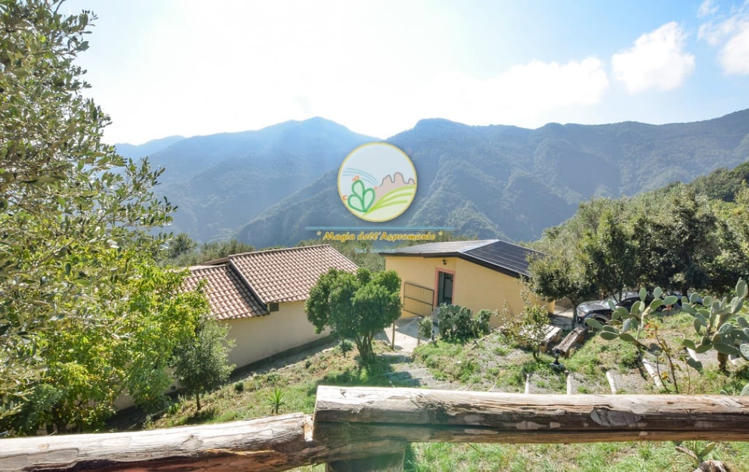 Magia dell’Aspromonte