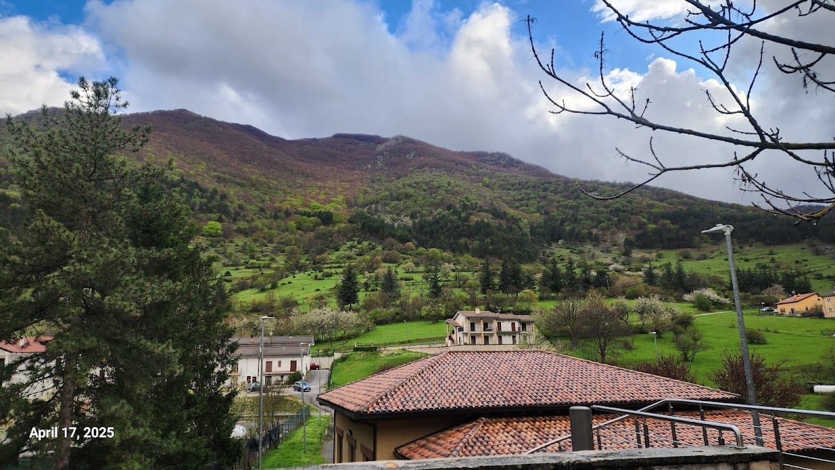 Hotel Stella Alpina