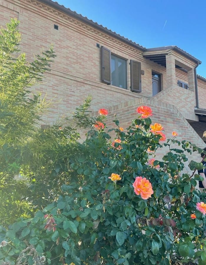 AGRITURISMO IL CONFINE - Treia - Marche