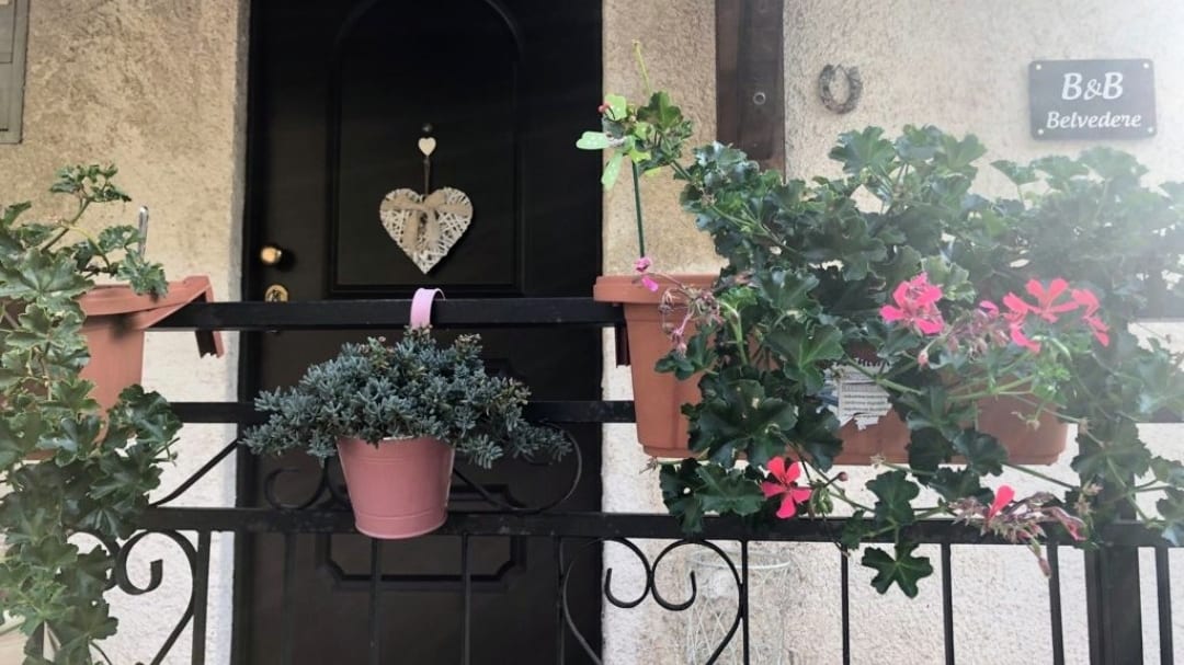 B&B Belvedere