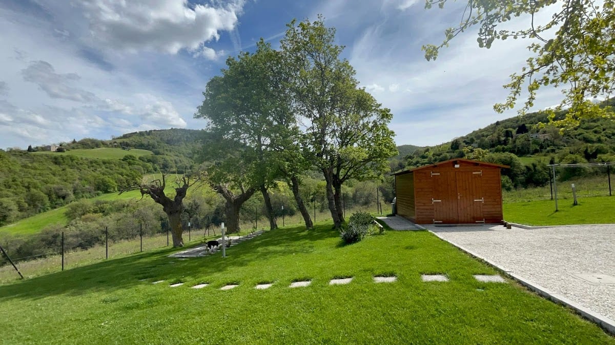 B&B IN VINO VERITAS