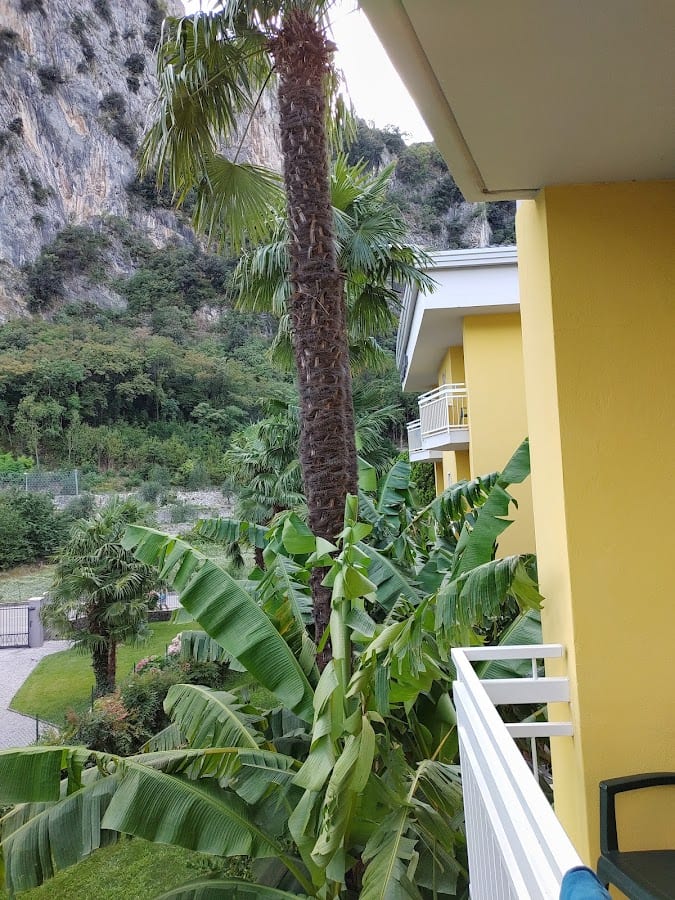 Hotel Garden