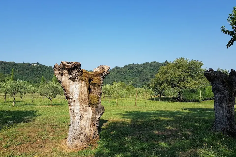 Agriturismo San Michele