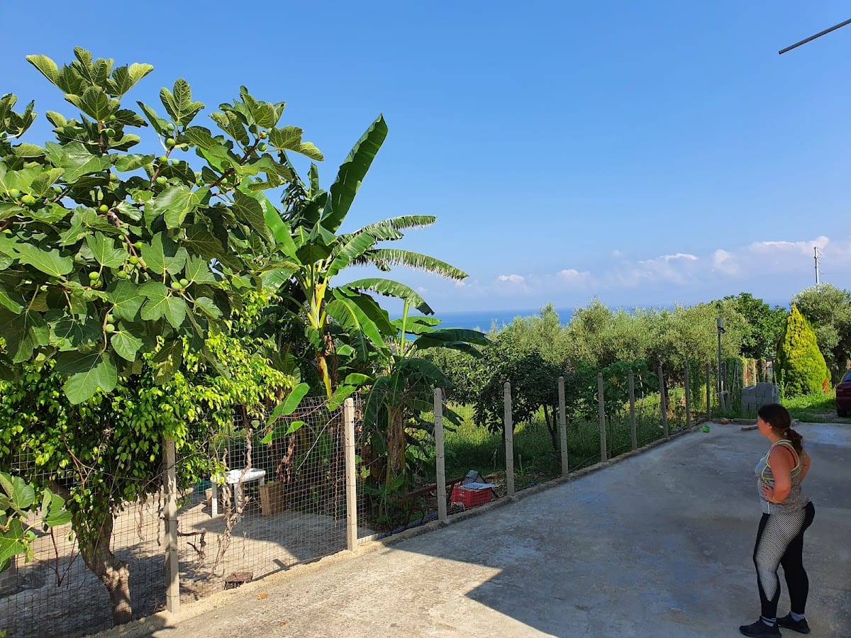 b&b il Maggiolino