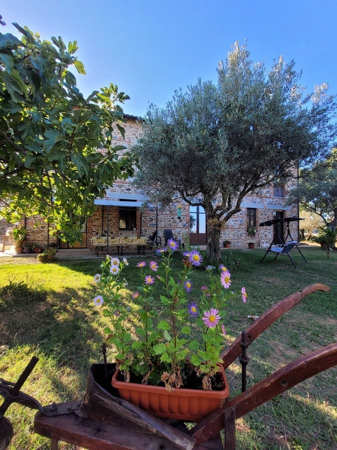 Azienda Agricola Il Casale