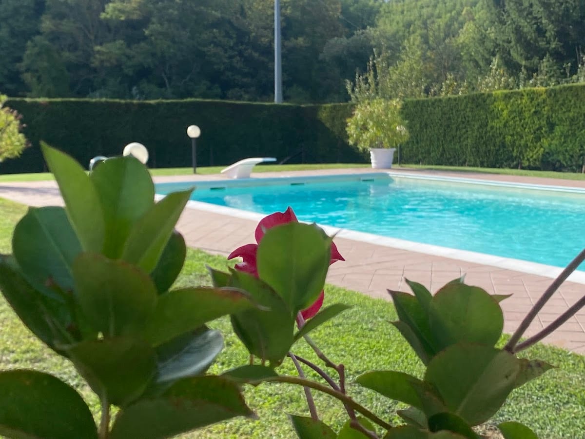 La Pradellina B&B Arquata Scrivia Allevamento Jack Russell Terrier e Australian Cattle Dog