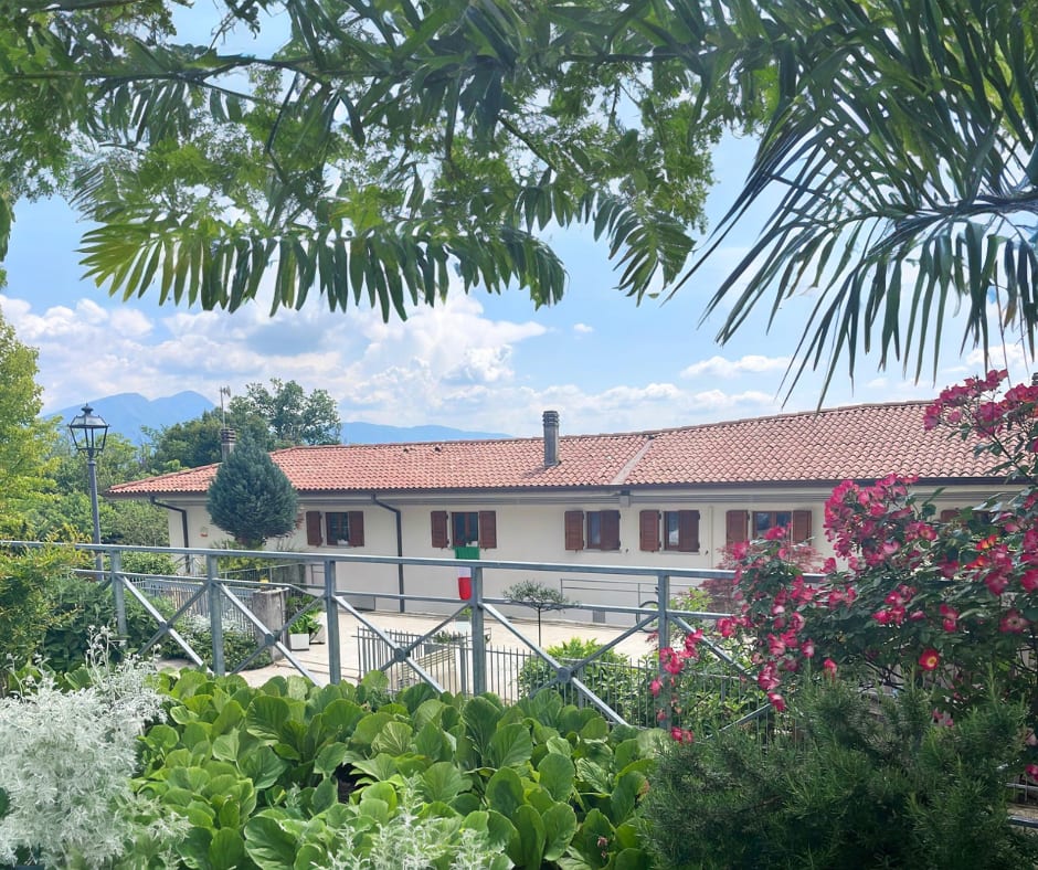 All'antico ulivo